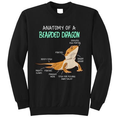 Anatomy Of A Bearded Dragon Bearded Dragon Lizard Pogona Reptile Tall Sweatshirt