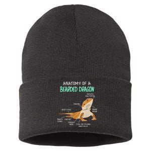 Anatomy Of A Bearded Dragon Bearded Dragon Lizard Pogona Reptile Sustainable Knit Beanie