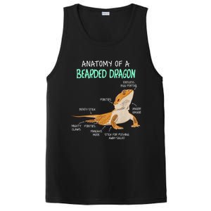 Anatomy Of A Bearded Dragon Bearded Dragon Lizard Pogona Reptile PosiCharge Competitor Tank