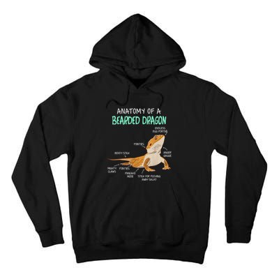 Anatomy Of A Bearded Dragon Bearded Dragon Lizard Pogona Reptile Tall Hoodie