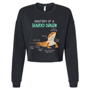 Anatomy Of A Bearded Dragon Bearded Dragon Lizard Pogona Reptile Cropped Pullover Crew