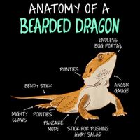 Anatomy Of A Bearded Dragon Bearded Dragon Lizard Pogona Reptile Kids Hoodie