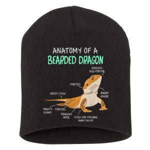 Anatomy Of A Bearded Dragon Bearded Dragon Lizard Pogona Reptile Short Acrylic Beanie