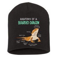 Anatomy Of A Bearded Dragon Bearded Dragon Lizard Pogona Reptile Short Acrylic Beanie