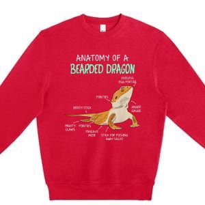 Anatomy Of A Bearded Dragon Bearded Dragon Lizard Pogona Reptile Premium Crewneck Sweatshirt