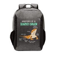 Anatomy Of A Bearded Dragon Bearded Dragon Lizard Pogona Reptile Vector Backpack