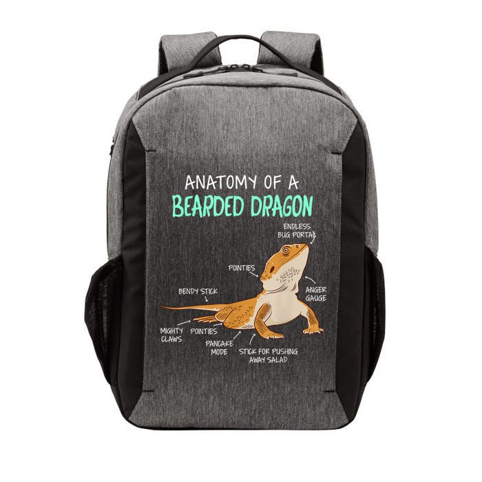 Anatomy Of A Bearded Dragon Bearded Dragon Lizard Pogona Reptile Vector Backpack