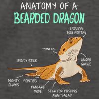 Anatomy Of A Bearded Dragon Bearded Dragon Lizard Pogona Reptile Vector Backpack