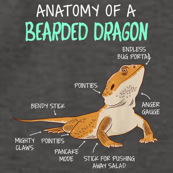Anatomy Of A Bearded Dragon Bearded Dragon Lizard Pogona Reptile Vector Backpack