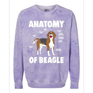 Anatomy Of A Beagle Meaningful Gift Colorblast Crewneck Sweatshirt