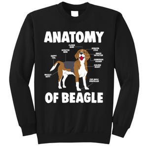 Anatomy Of A Beagle Meaningful Gift Sweatshirt