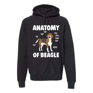 Anatomy Of A Beagle Meaningful Gift Premium Hoodie