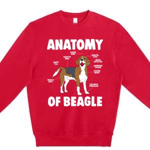 Anatomy Of A Beagle Meaningful Gift Premium Crewneck Sweatshirt