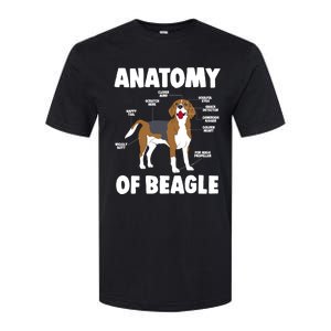 Anatomy Of A Beagle Meaningful Gift Softstyle CVC T-Shirt