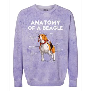 Anatomy of a Beagle Funny Beagle Dog Lover Colorblast Crewneck Sweatshirt