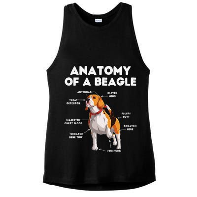 Anatomy of a Beagle Funny Beagle Dog Lover Ladies PosiCharge Tri-Blend Wicking Tank