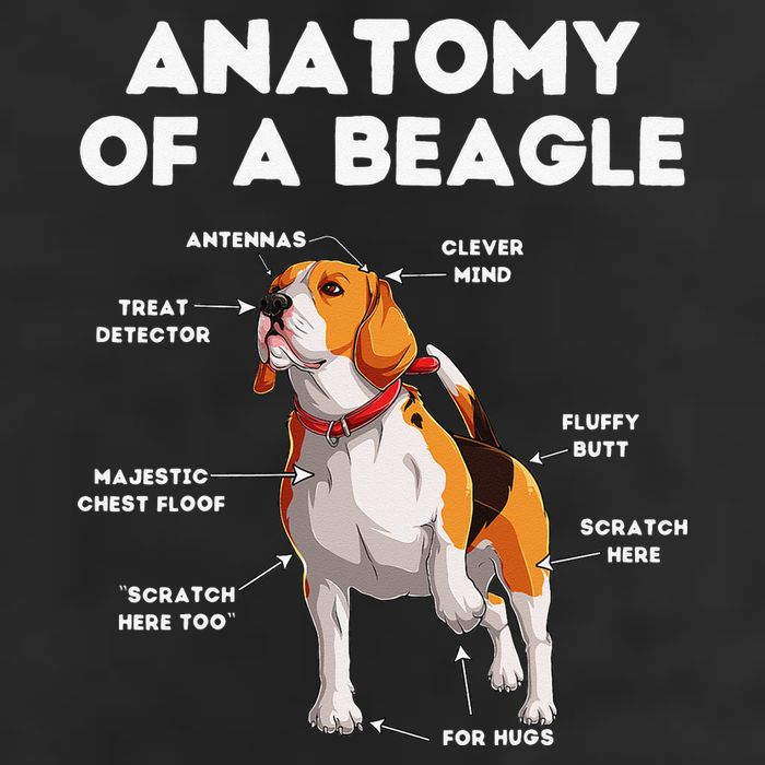 Anatomy of a Beagle Funny Beagle Dog Lover 7 Panel Mesh Trucker Snapback Hat