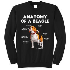 Anatomy of a Beagle Funny Beagle Dog Lover Sweatshirt