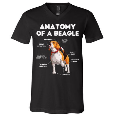 Anatomy of a Beagle Funny Beagle Dog Lover V-Neck T-Shirt