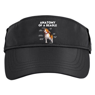 Anatomy of a Beagle Funny Beagle Dog Lover Adult Drive Performance Visor
