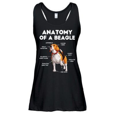 Anatomy of a Beagle Funny Beagle Dog Lover Ladies Essential Flowy Tank
