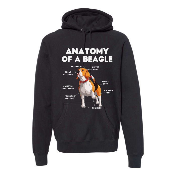 Anatomy of a Beagle Funny Beagle Dog Lover Premium Hoodie