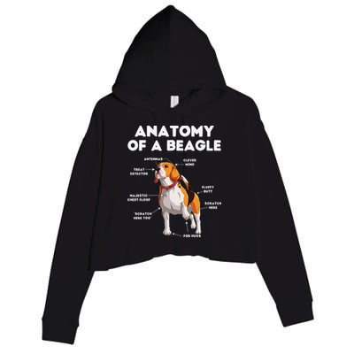 Anatomy of a Beagle Funny Beagle Dog Lover Crop Fleece Hoodie