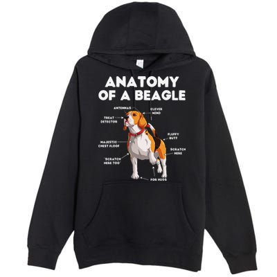 Anatomy of a Beagle Funny Beagle Dog Lover Premium Pullover Hoodie