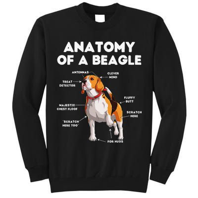 Anatomy of a Beagle Funny Beagle Dog Lover Tall Sweatshirt