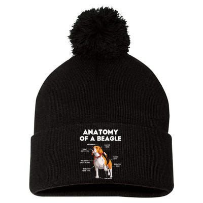 Anatomy of a Beagle Funny Beagle Dog Lover Pom Pom 12in Knit Beanie