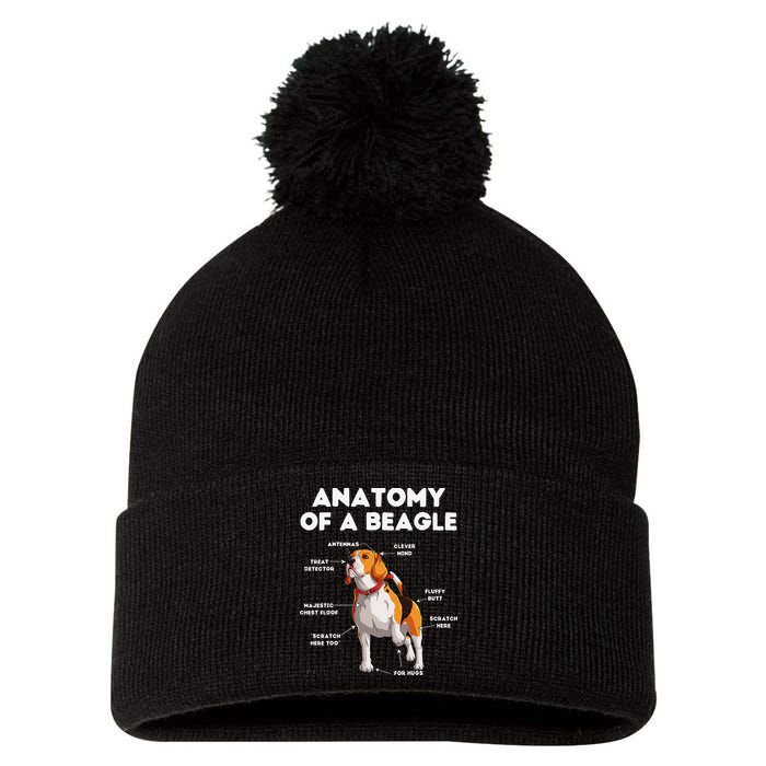 Anatomy of a Beagle Funny Beagle Dog Lover Pom Pom 12in Knit Beanie