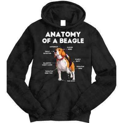 Anatomy of a Beagle Funny Beagle Dog Lover Tie Dye Hoodie
