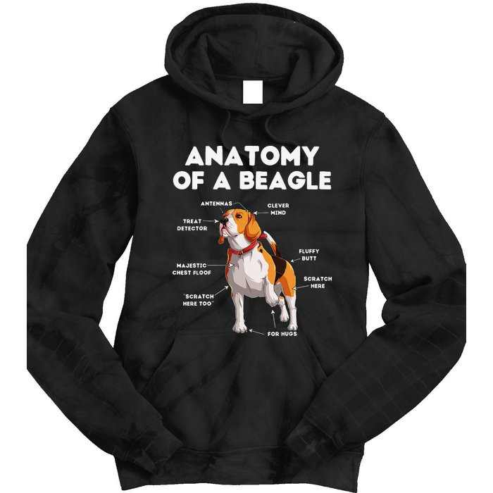 Anatomy of a Beagle Funny Beagle Dog Lover Tie Dye Hoodie