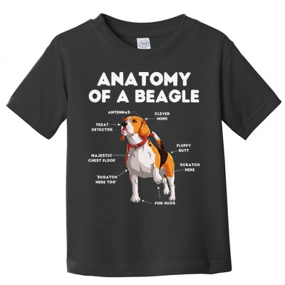 Anatomy of a Beagle Funny Beagle Dog Lover Toddler T-Shirt