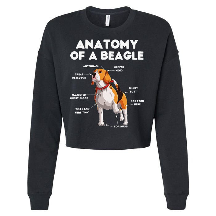 Anatomy of a Beagle Funny Beagle Dog Lover Cropped Pullover Crew