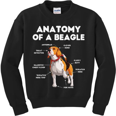 Anatomy of a Beagle Funny Beagle Dog Lover Kids Sweatshirt