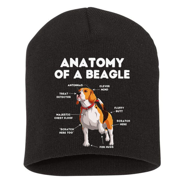 Anatomy of a Beagle Funny Beagle Dog Lover Short Acrylic Beanie