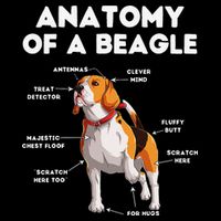 Anatomy of a Beagle Funny Beagle Dog Lover Short Acrylic Beanie
