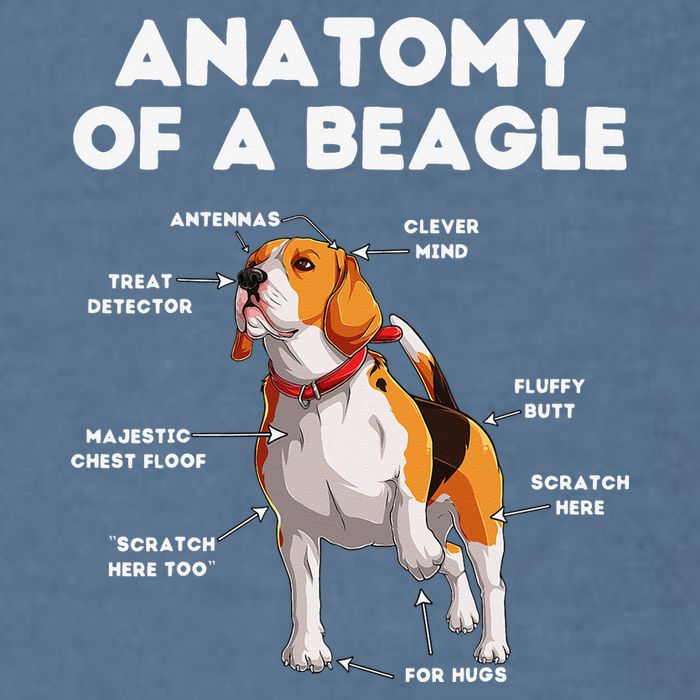 Anatomy of a Beagle Funny Beagle Dog Lover Garment-Dyed Sweatshirt
