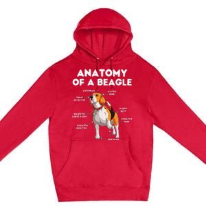 Anatomy of a Beagle Funny Beagle Dog Lover Premium Pullover Hoodie