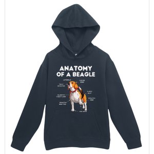 Anatomy of a Beagle Funny Beagle Dog Lover Urban Pullover Hoodie