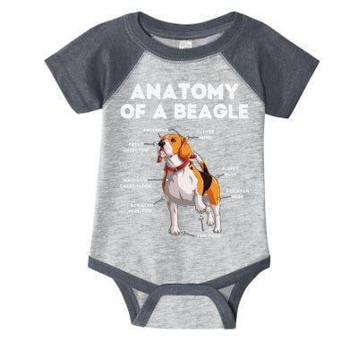 Anatomy of a Beagle Funny Beagle Dog Lover Infant Baby Jersey Bodysuit