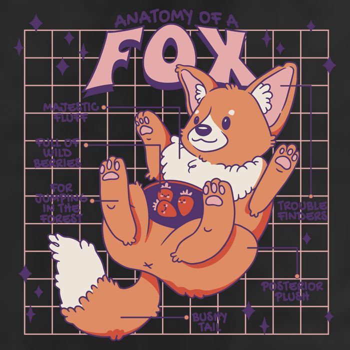 Anatomy Of A Fox 7 Panel Mesh Trucker Snapback Hat