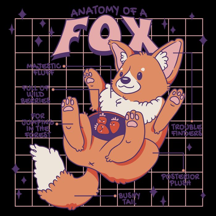 Anatomy Of A Fox Sustainable Bucket Hat