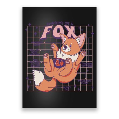 Anatomy Of A Fox Poster