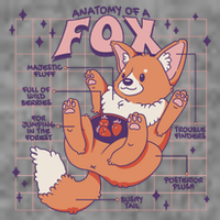 Anatomy Of A Fox Tall T-Shirt