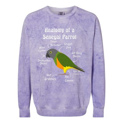 Anatomy Of A Senegal Parrot Colorblast Crewneck Sweatshirt