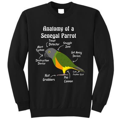 Anatomy Of A Senegal Parrot Sweatshirt