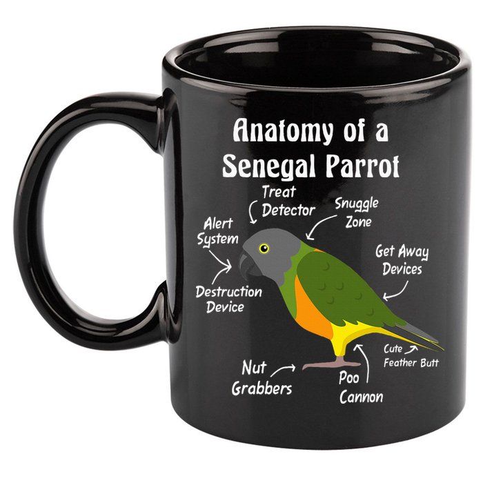 Anatomy Of A Senegal Parrot 11oz C Handle Ceramic Mug