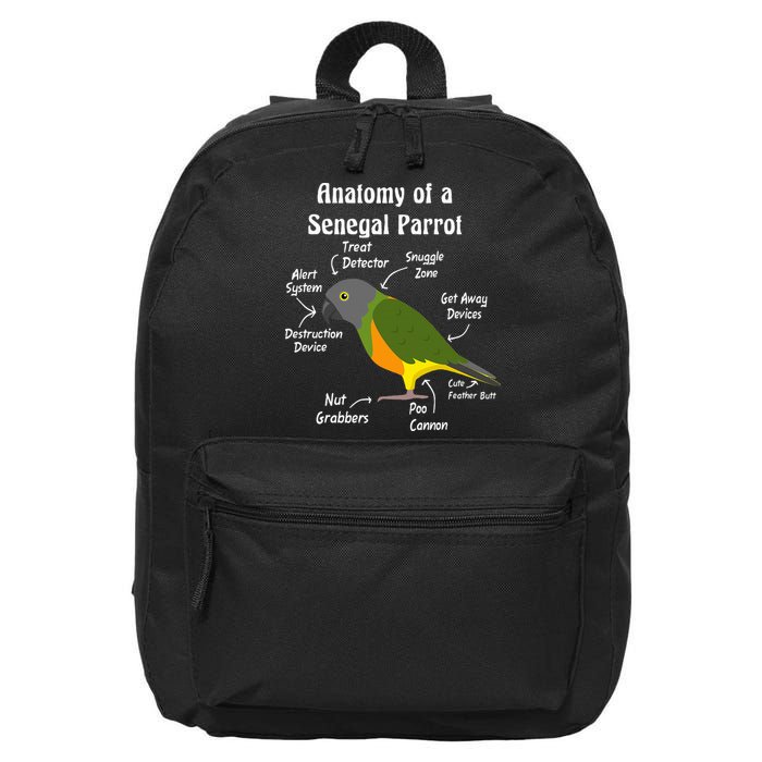 Anatomy Of A Senegal Parrot 16 in Basic Backpack